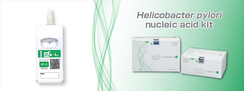 Helicobacter pylori nucleic acid kit