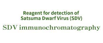 Reagent for detection of Satsuma Dwarf Virus(SDV)