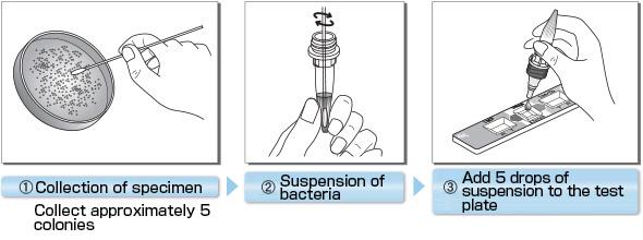 Test Procedure