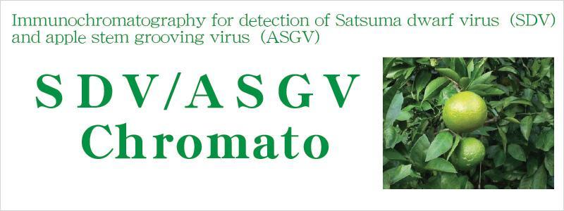 SDV / ASGV Chromato