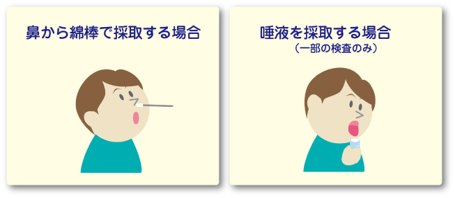 検査の材料を採取します