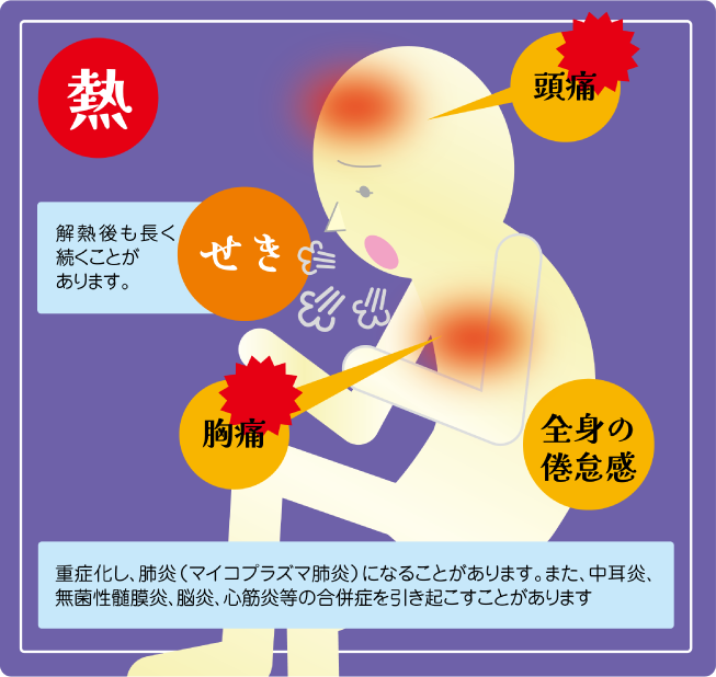 肺炎マイコプラズマ感染症ってどんな病気？