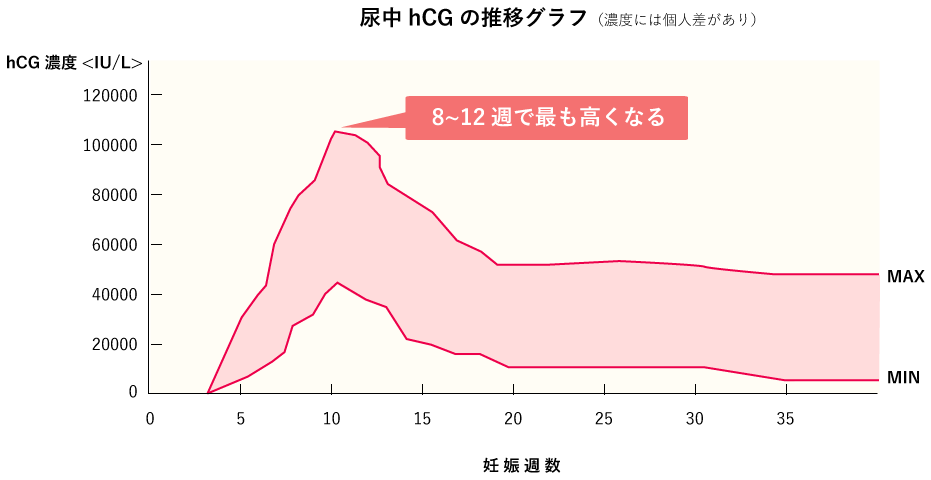 尿中hCGの推移