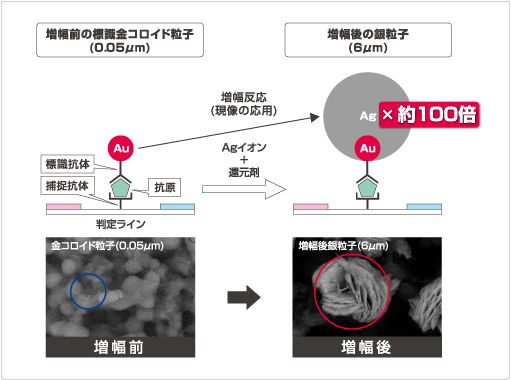 高感度のひみつ