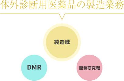 先輩社員からのメッセージ