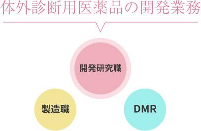 先輩社員からのメッセージ