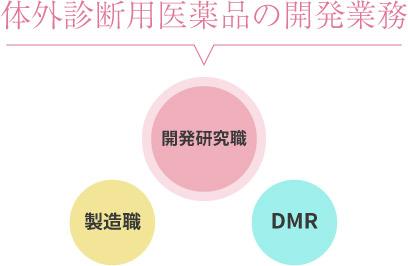 先輩社員からのメッセージ